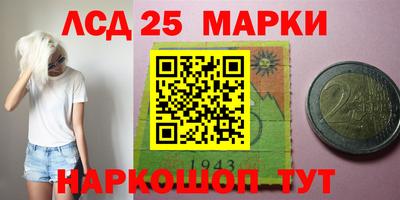 гидра Камышлов