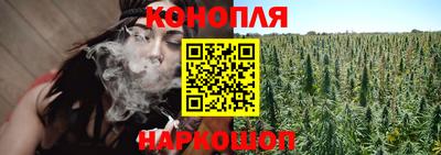 гидра Камышлов