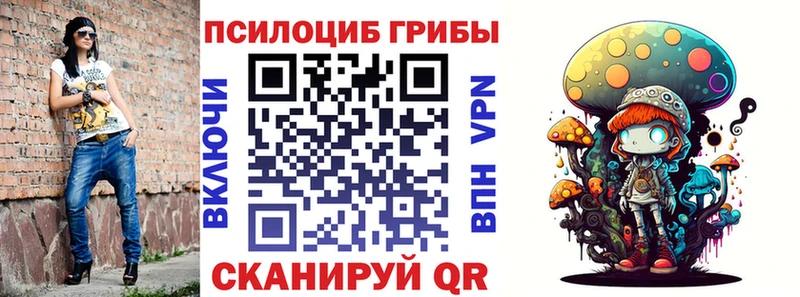 kraken   Краснознаменск  Псилоцибиновые грибы мицелий 
