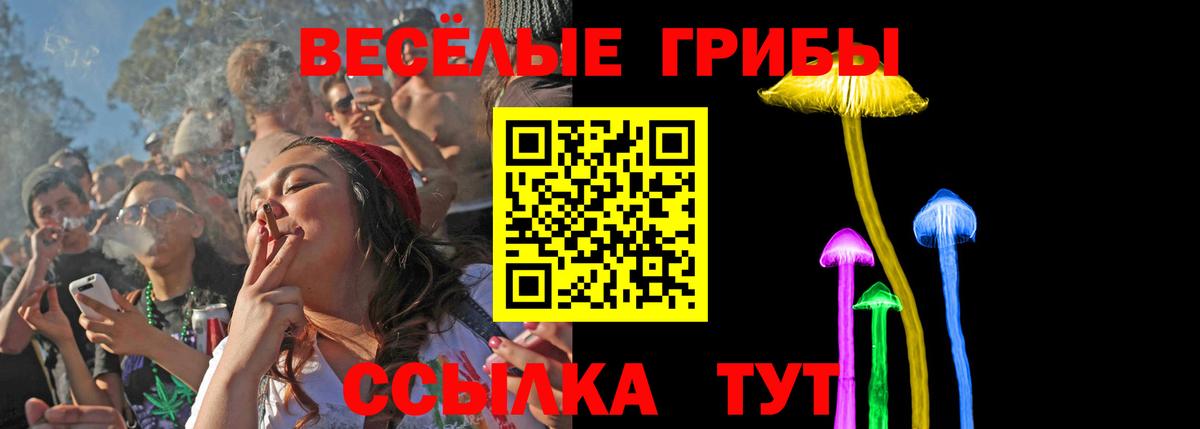 Псилоцибиновые грибы прущие грибы Краснознаменск