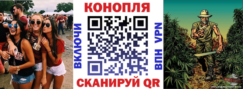 Бошки марихуана OG Kush  гидра как зайти  Краснознаменск  купить наркотики сайты 