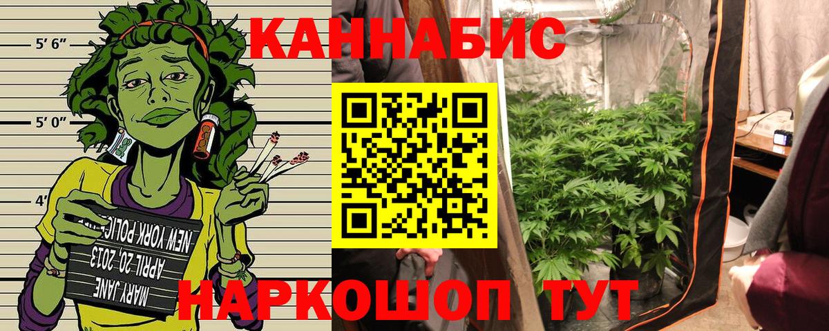 МАРИХУАНА White Widow Краснознаменск